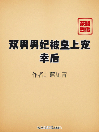 双男男妃被皇上宠幸后