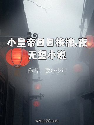 小皇帝日日挨擒,夜无望小说