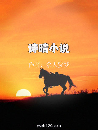 诗晴小说