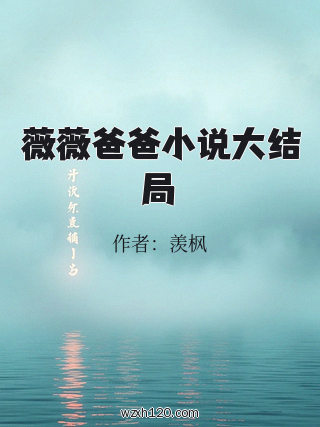 薇薇爸爸小说大结局