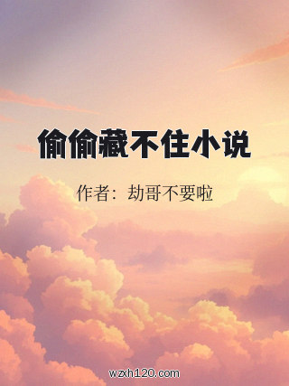 偷偷藏不住小说