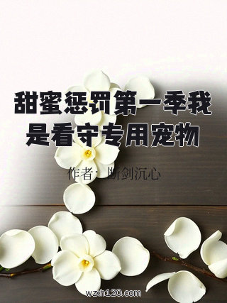 甜蜜惩罚第一季我是看守专用宠物
