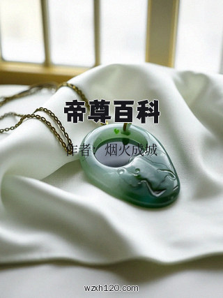 帝尊百科