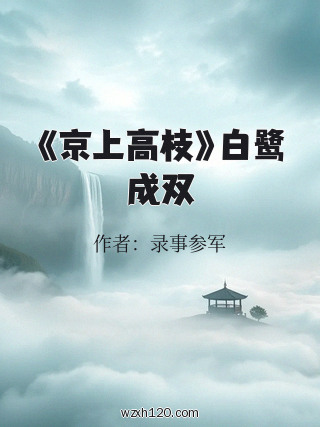 《京上高枝》白鹭成双