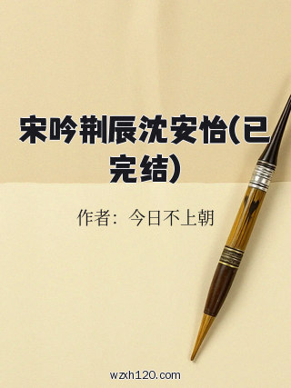宋吟荆辰沈安怡(已完结)