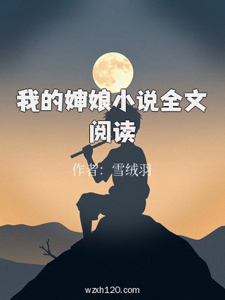 我的婶娘小说全文阅读