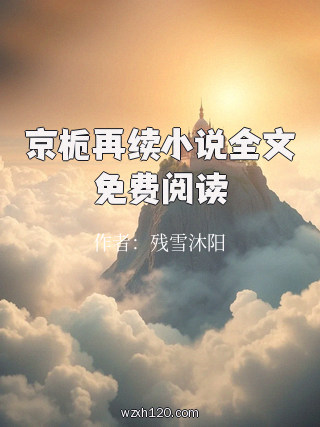 京栀再续小说全文免费阅读