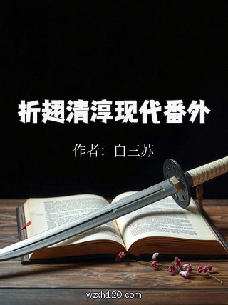折翅清淳现代番外