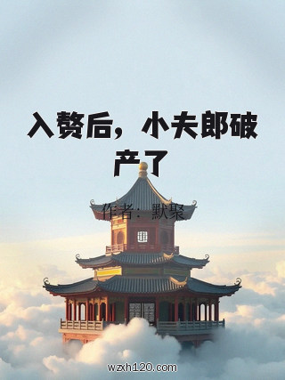入赘后,小夫郎破产了