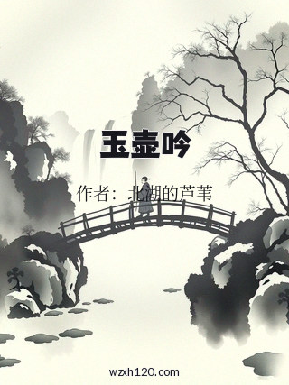 玉壶吟