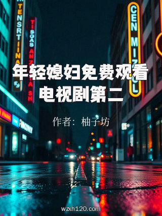 年轻媳妇免费观看电视剧第二