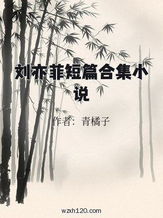 刘亦菲短篇合集小说