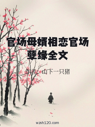 官场母婿相恋官场孽缘全文