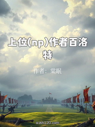 上位(np)作者百洛特