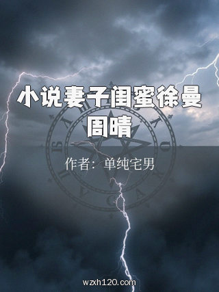 小说妻子闺蜜徐曼周晴