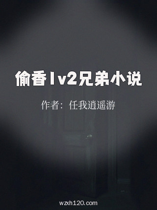 偷香1v2兄弟小说