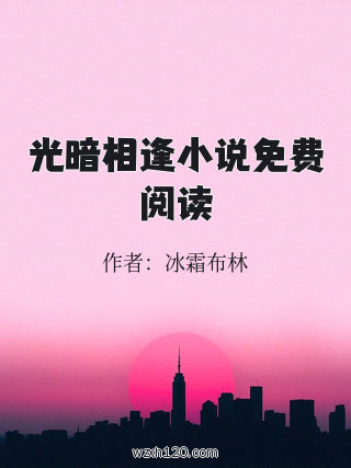 光暗相逢小说免费阅读