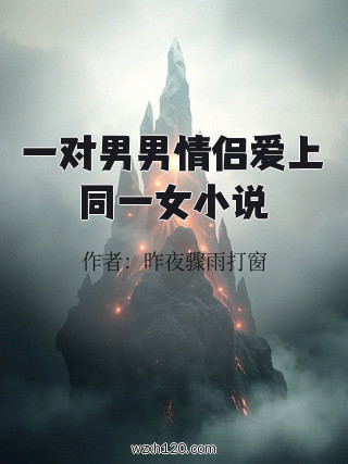 一对男男情侣爱上同一女小说