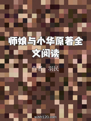 师娘与小华原著全文阅读