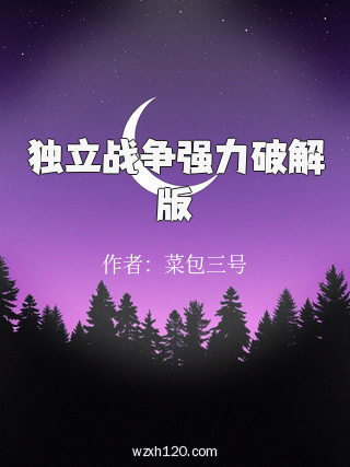 独立战争强力破解版