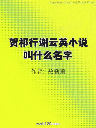 贺祁行谢云英小说叫什么名字