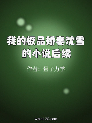 我的极品娇妻沈雪的小说后续