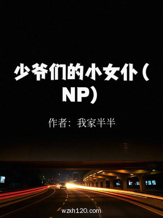 少爷们的小女仆（NP）
