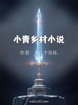 小青乡村小说