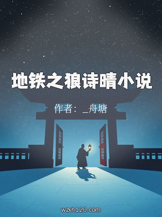 地铁之狼诗晴小说