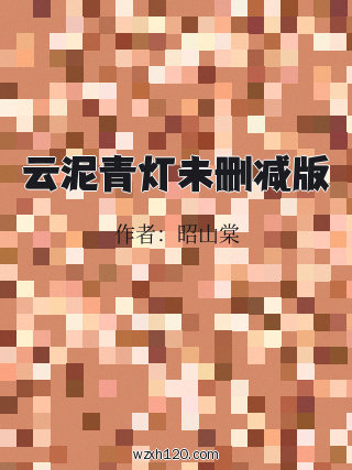 云泥青灯未删减版