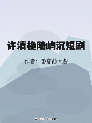 许清桅陆屿沉短剧