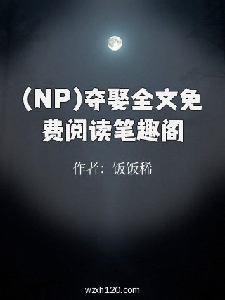 (NP)夺娶全文免费阅读笔趣阁