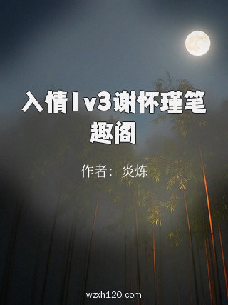 入情1v3谢怀瑾笔趣阁