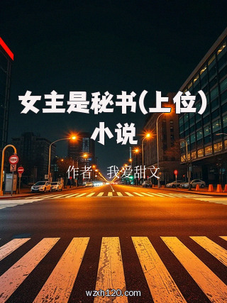 女主是秘书(上位)小说