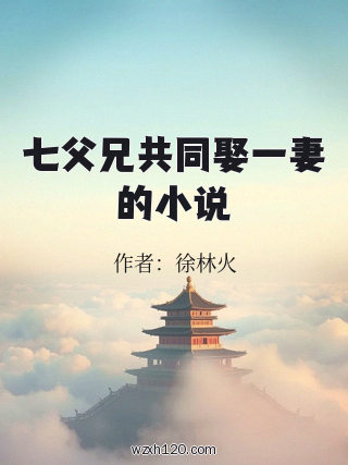 七父兄共同娶一妻的小说
