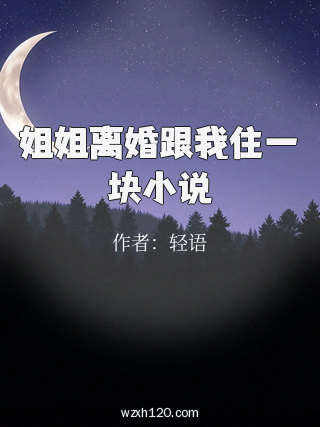 姐姐离婚跟我住一块小说