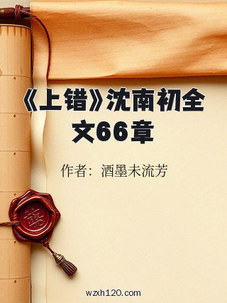 《上错》沈南初全文66章