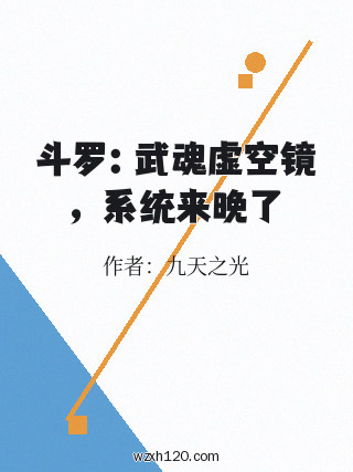 斗罗:武魂虚空镜,系统来晚了