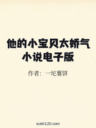 他的小宝贝太娇气小说电子版
