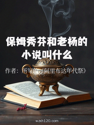 保姆秀芬和老杨的小说叫什么