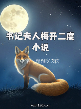 书记夫人梅开二度小说