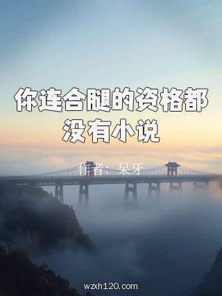 你连合腿的资格都没有小说