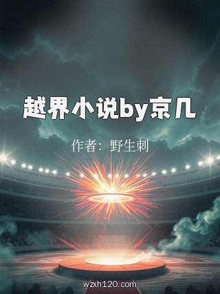 越界小说by京几