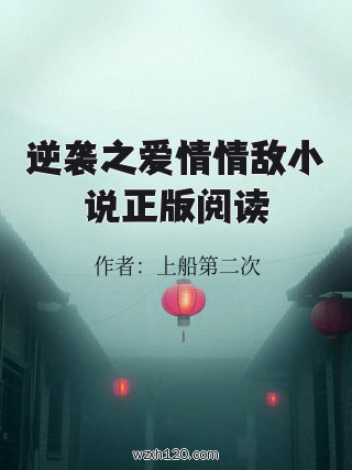 逆袭之爱情情敌小说正版阅读