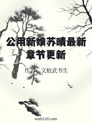 公用新娘苏晴最新章节更新