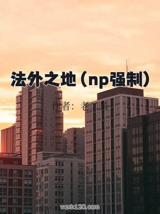 法外之地（np强制)