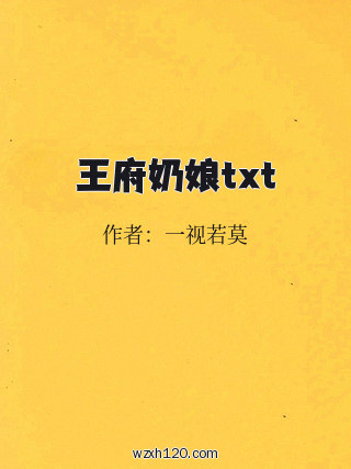 王府奶娘txt