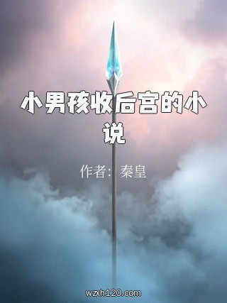 小男孩收后宫的小说