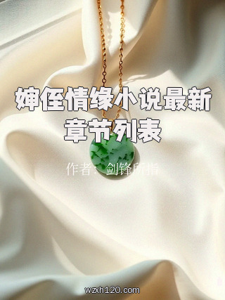 婶侄情缘小说最新章节列表
