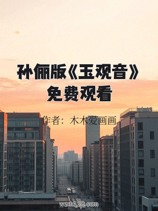 孙俪版《玉观音》免费观看